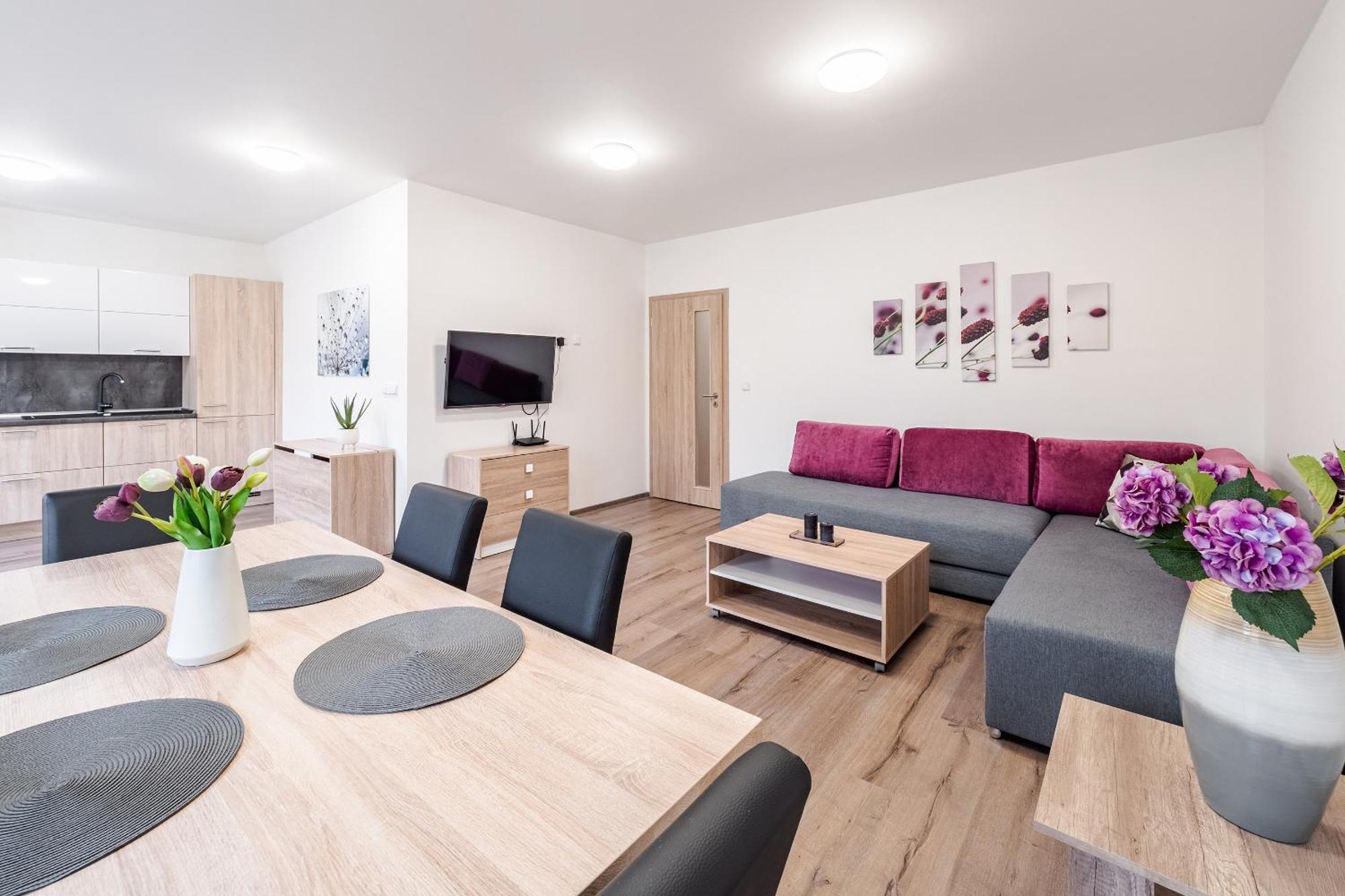 Private Luxury Apartments - Apartman G3 Фримбурк Экстерьер фото